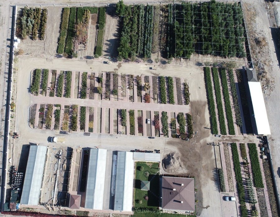 Kocasinan’da Herkesin Dikili Bir Ağacı Olacak