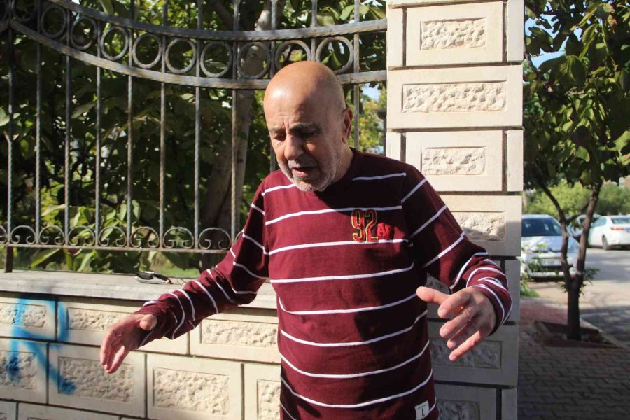 Antalya’da Yürüyüşe Çıkan Yaşlı Adam Sokak Köpeğinin Saldırısıyla Dehşeti Yaşadı