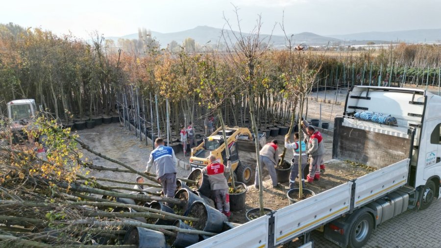Melikgazi Belediyesi İlçeyi Ağaçlandırmada Zamandan Kazanıyor