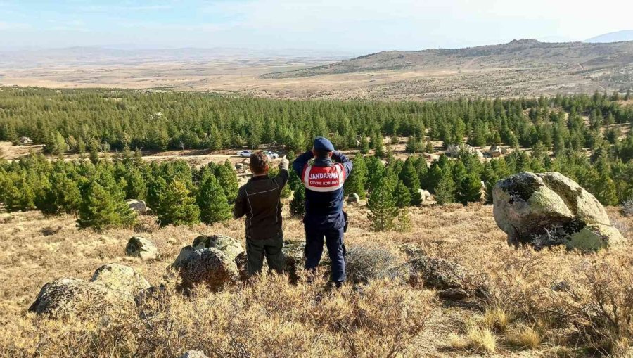 Aksaray’da Jandarma Anadolu Yaban Koyunlarını Dron İle Takip Ediyor