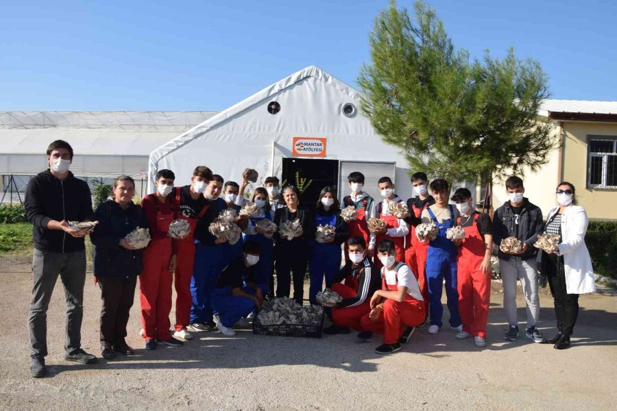 Lise Öğrencileri Ürettikleri İstiridye Mantarının İlk Hasadını Yaptı