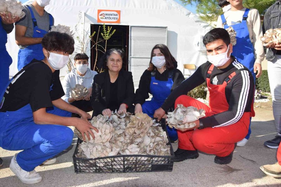 Lise Öğrencileri Ürettikleri İstiridye Mantarının İlk Hasadını Yaptı