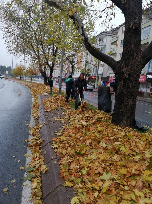 Büyükşehir, Topladığı Gazelleri Gübreye Dönüştürüyor