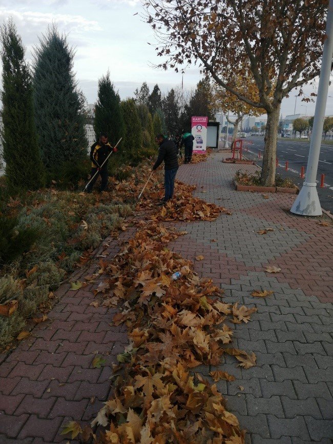 Büyükşehir, Topladığı Gazelleri Gübreye Dönüştürüyor