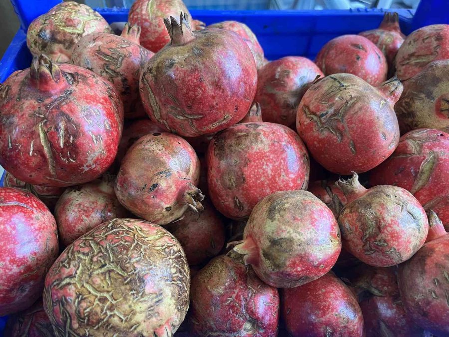 Lezzet Ve Şifa Kaynağı Nar Suyunun Tam Zamanı