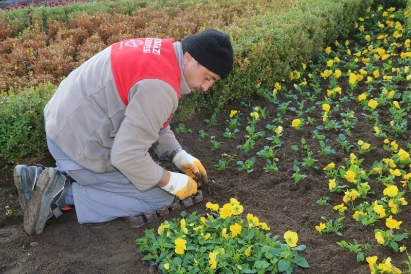 Melikgazi’nin Kavşakları Çiçeklerle Renklendi