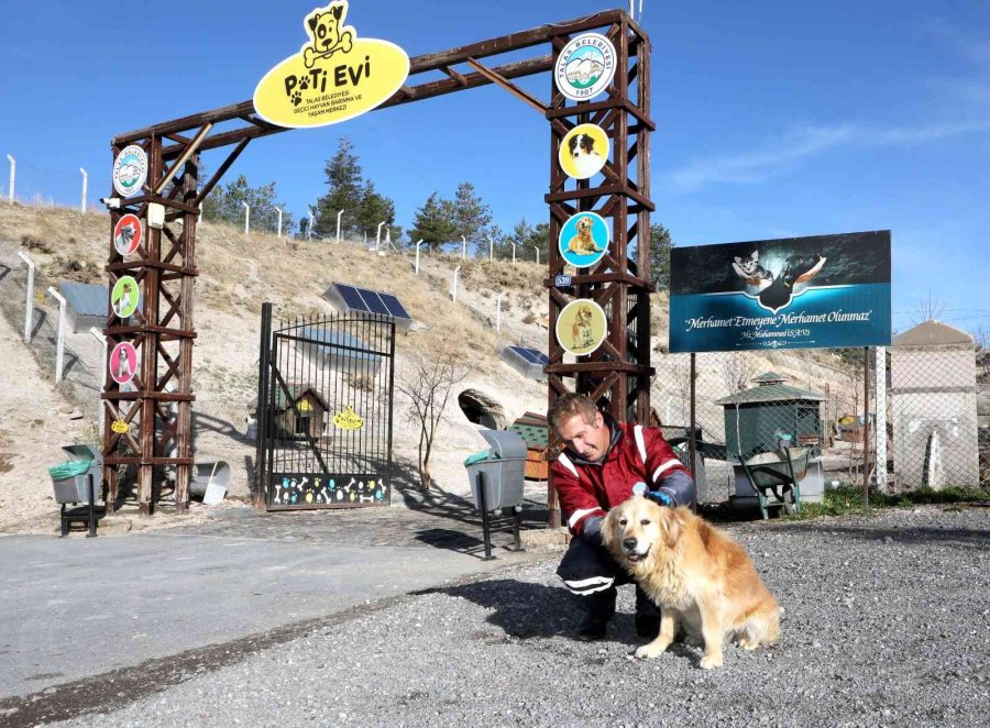 Talas’ta Can Dostlara Özel Hizmet