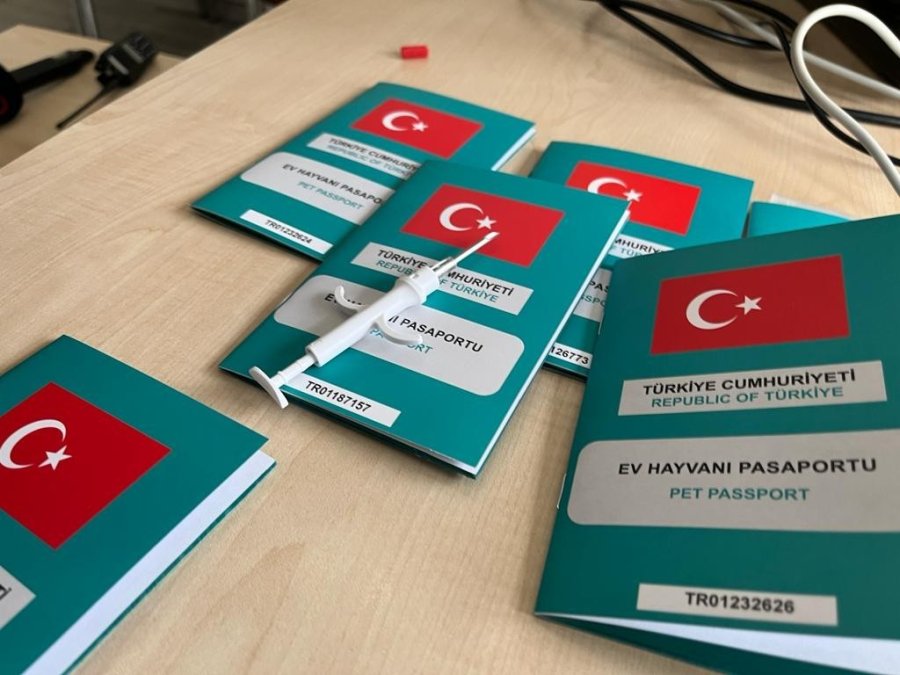 Evcil Hayvanlara Mikroçip Uygulamasında Zaman Daralıyor