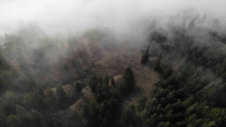 Eskişehir’i Sis Örttü