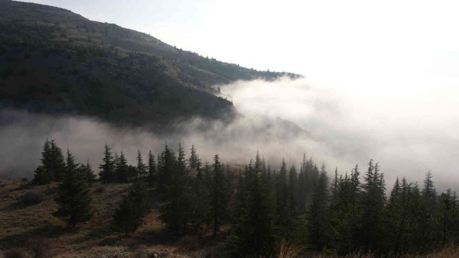 Eskişehir’i Sis Örttü