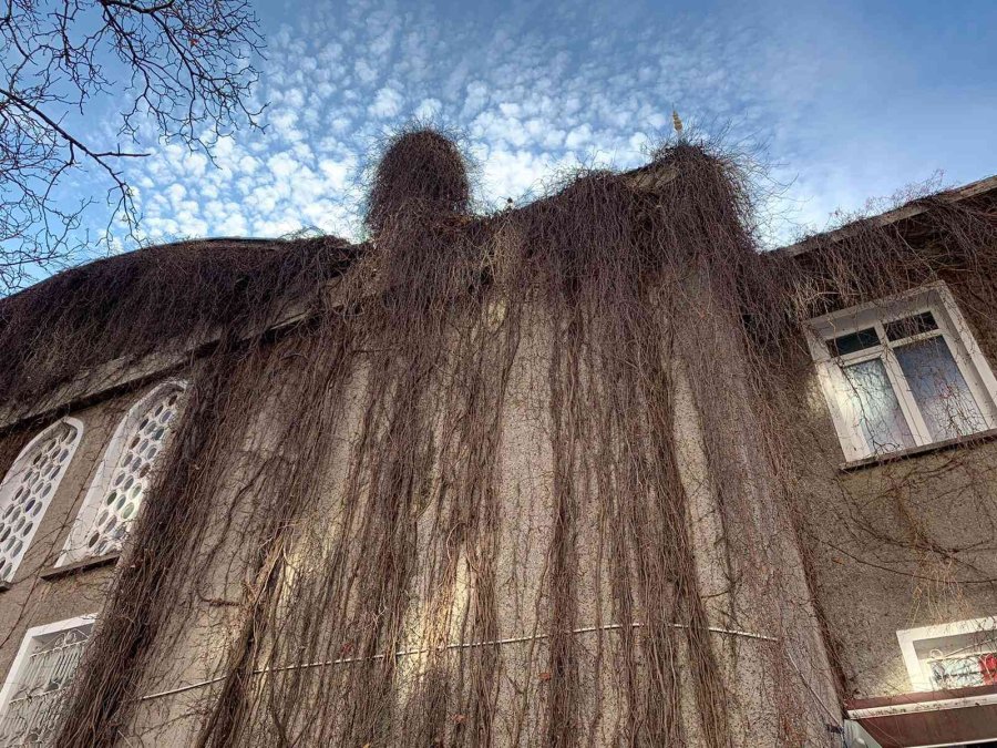 Yıkılması Gündeme Gelen Hal Camii’nin Cemaati Karara Tepki Gösterdi