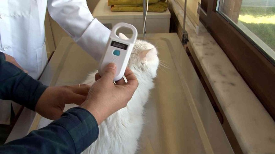 Kayseri’de 5 Bin 512 Evcil Hayvana Çip Takıldı