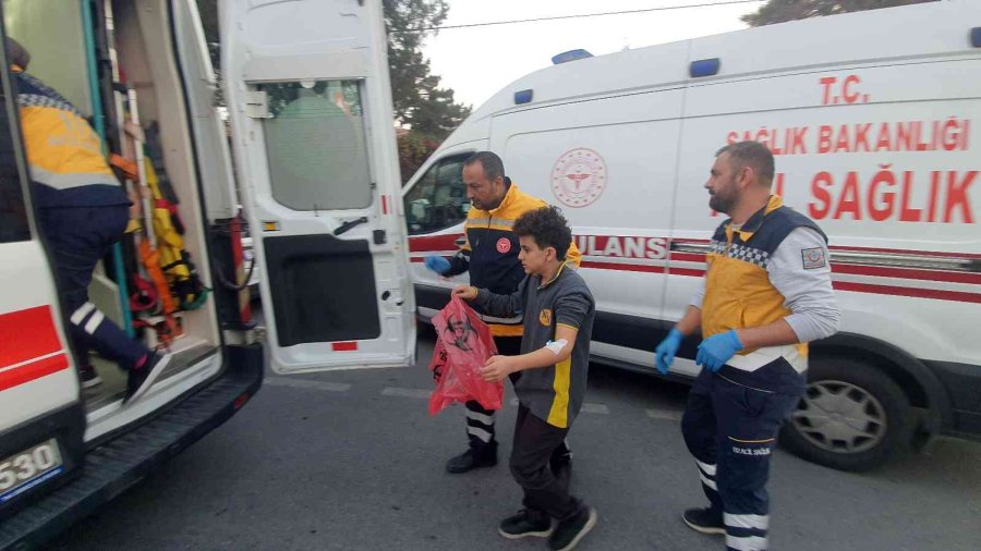 Bakkaldan Alınan Kekten Yiyen 11 Öğrenci Zehirlendi