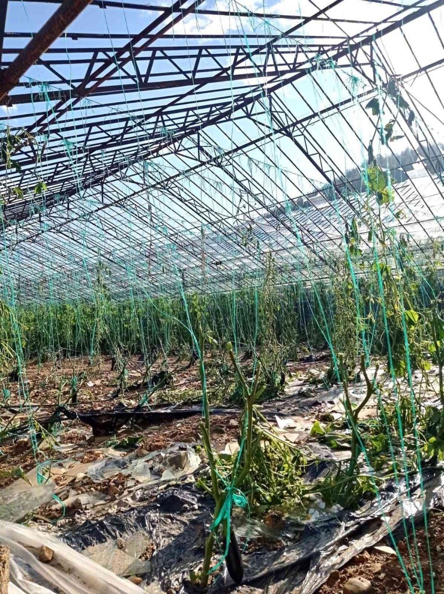 Patlayan Su Borusu Yol Ve Sera Camlarını Parçaladı, Seralar Suyla Doldu