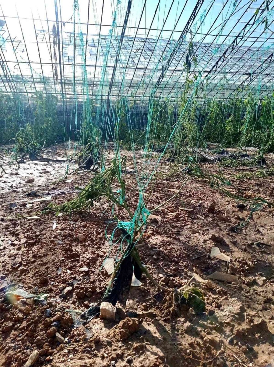 Patlayan Su Borusu Yol Ve Sera Camlarını Parçaladı, Seralar Suyla Doldu