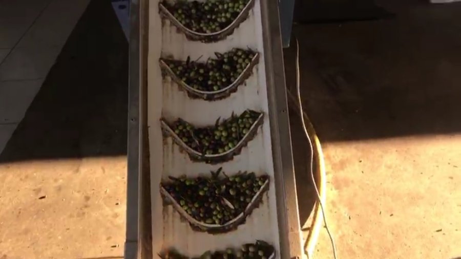 4 Gün Bekleyen Var, Gece Nöbet Tutup Gündüz Sıra Bekliyorlar