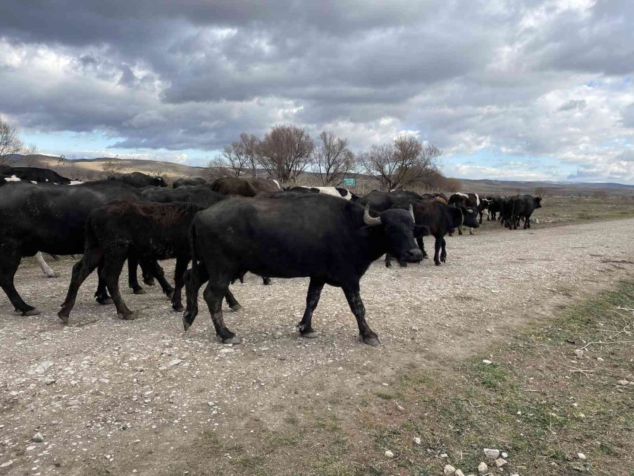 Cumhurbaşkanı Açıkladı İlçe Halkı Daha Fazla Üretim İçin Hızlandı