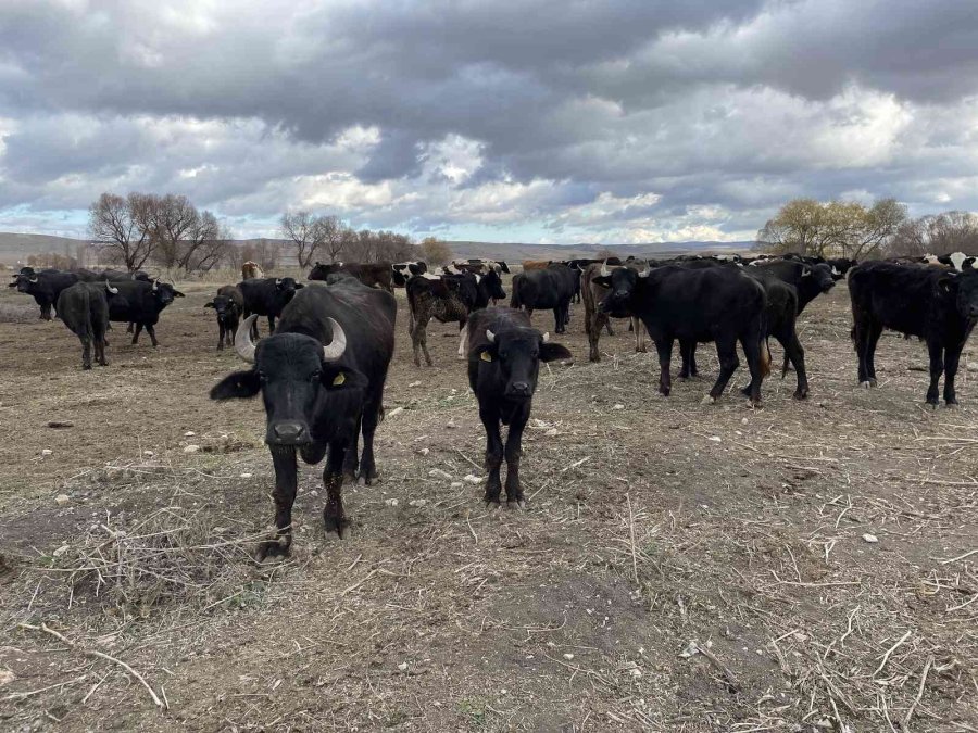 Cumhurbaşkanı Açıkladı İlçe Halkı Daha Fazla Üretim İçin Hızlandı