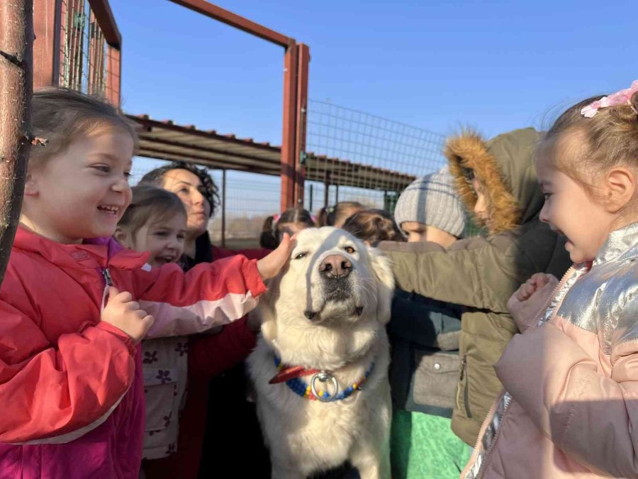 Anneleri İle Aynı Çatı Altında Eğitim Alıyorlar