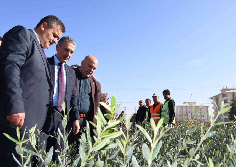 Karaman’da Çiftçilere 80 Bin Adet Fidan Dağıtıldı