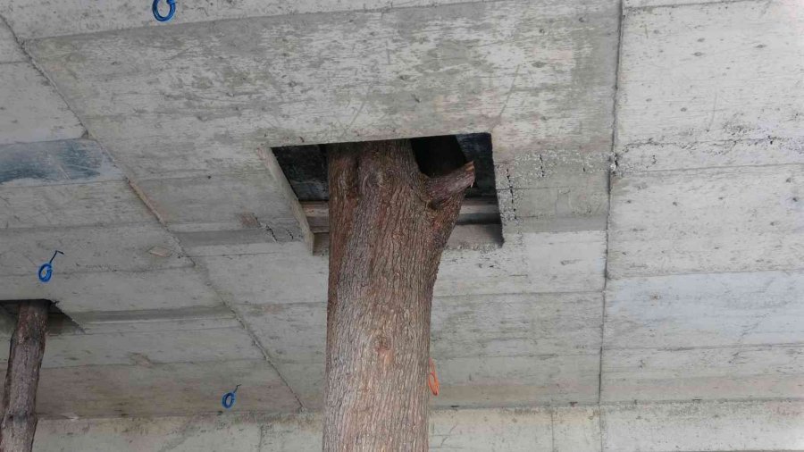 Bu İnşaatı Görenler Şaşırıyor