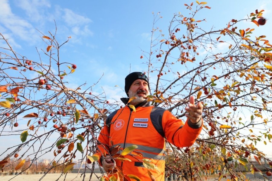 Başkan Çolakbayrakdar; “kocasinan’da Yemyeşil Bir Bahar Olacak!”
