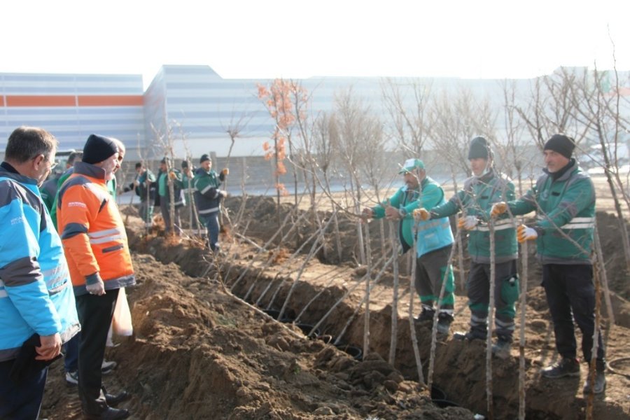 Başkan Çolakbayrakdar; “kocasinan’da Yemyeşil Bir Bahar Olacak!”