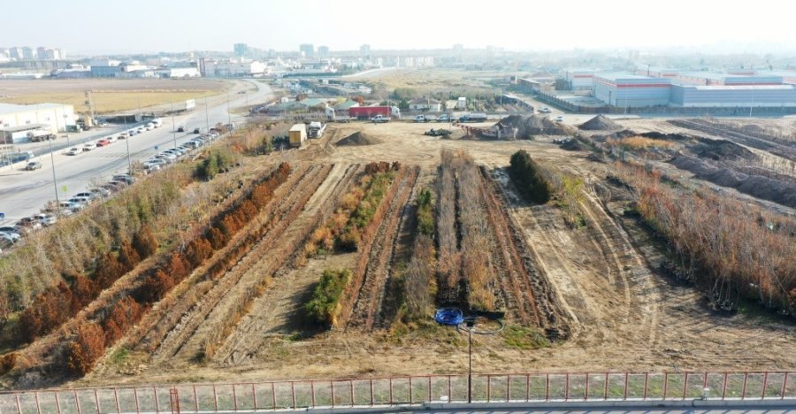 Başkan Çolakbayrakdar; “kocasinan’da Yemyeşil Bir Bahar Olacak!”