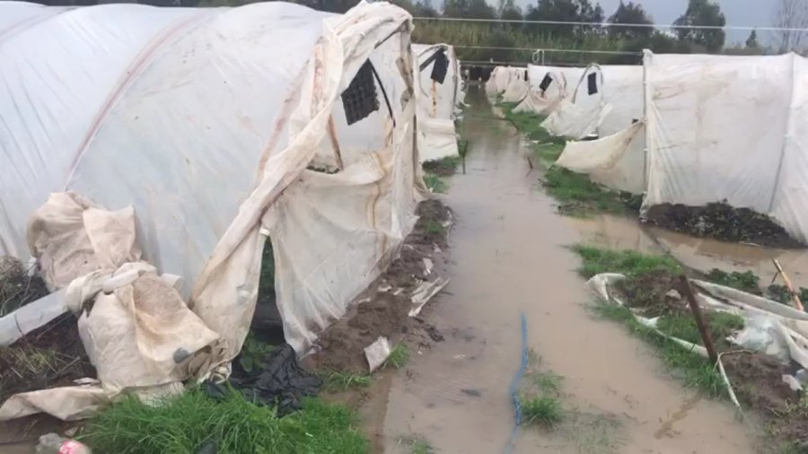 Antalya’da Çilek Seraları Sular Altında Kaldı