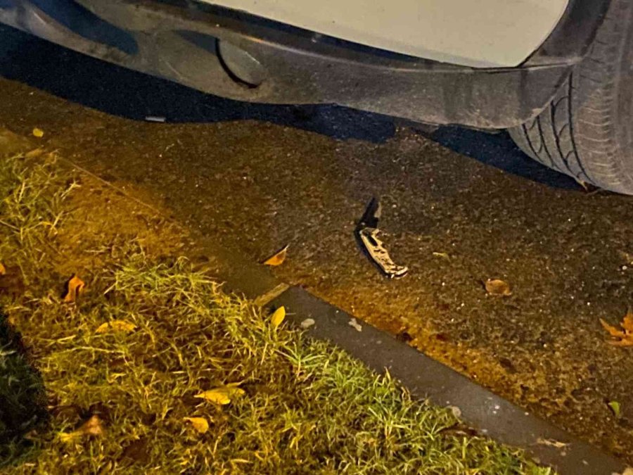 Antalya’da Gece Yarısı Otoparkta İki Grup Arasında Silahlı Çatışma: 5 Yaralı