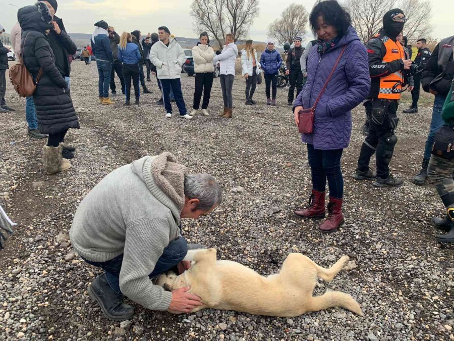 İnsanları Merhamete Davet Ettiler