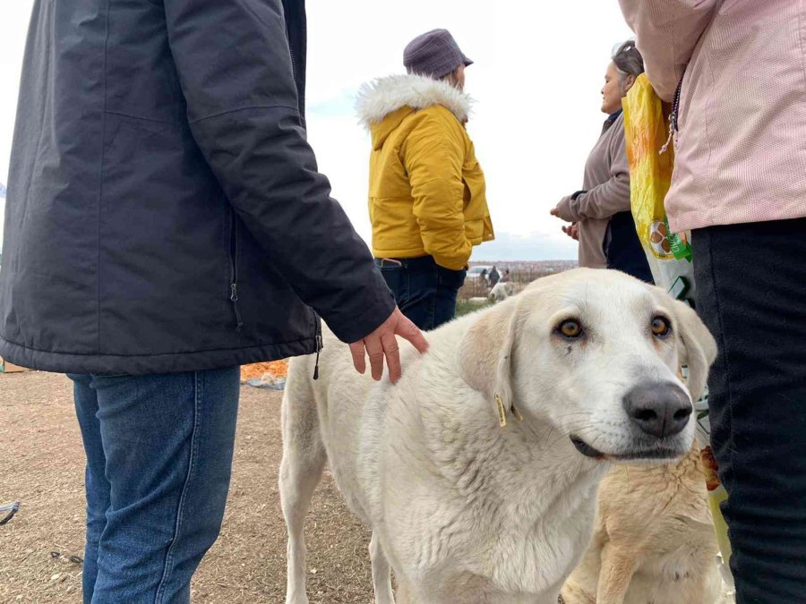 İnsanları Merhamete Davet Ettiler