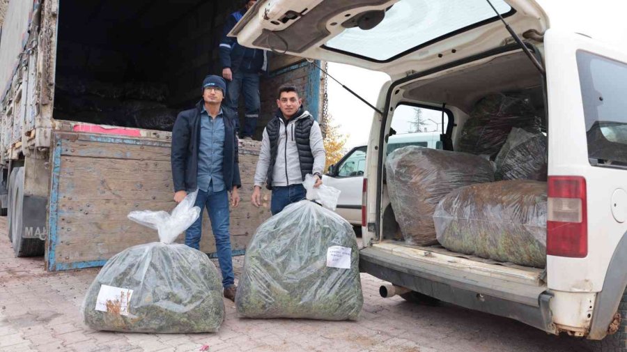 Konya Büyükşehir’in Üreticiye Lavanta Fidesi Desteği Sürüyor