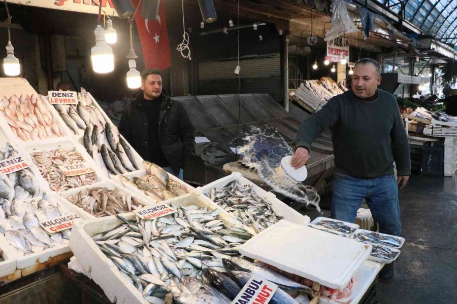 Akdeniz’de Sardalya Bereketi