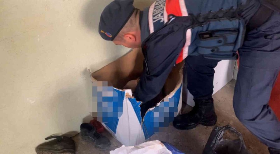 Jandarmadan 11 Adrese Eş Zamanlı ‘kaçakçılık’ Operasyonu