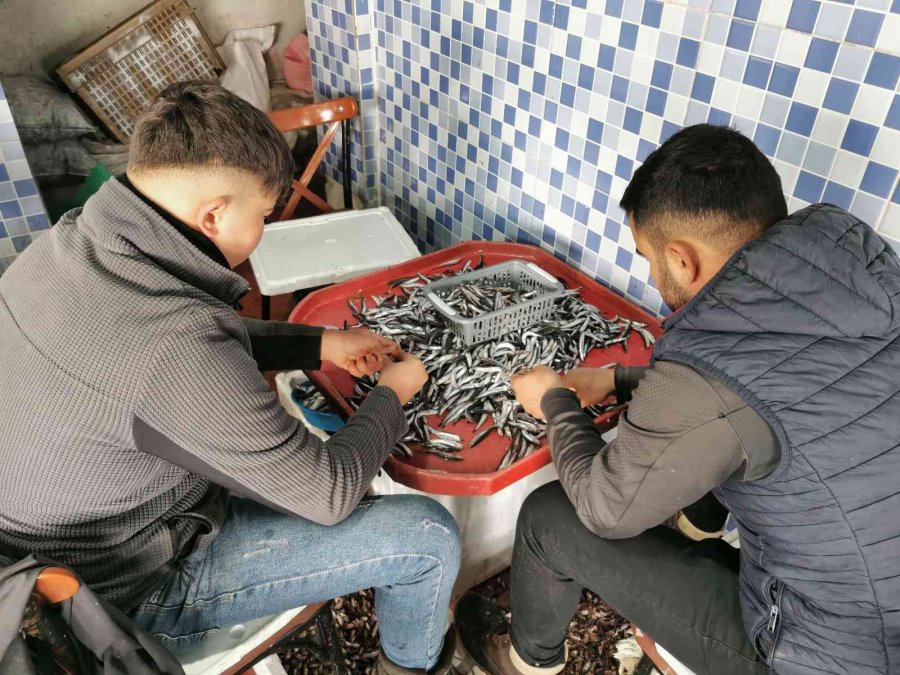 Aksaray’da Evde Balık Temizleme Ve Pişirme Derdine Son