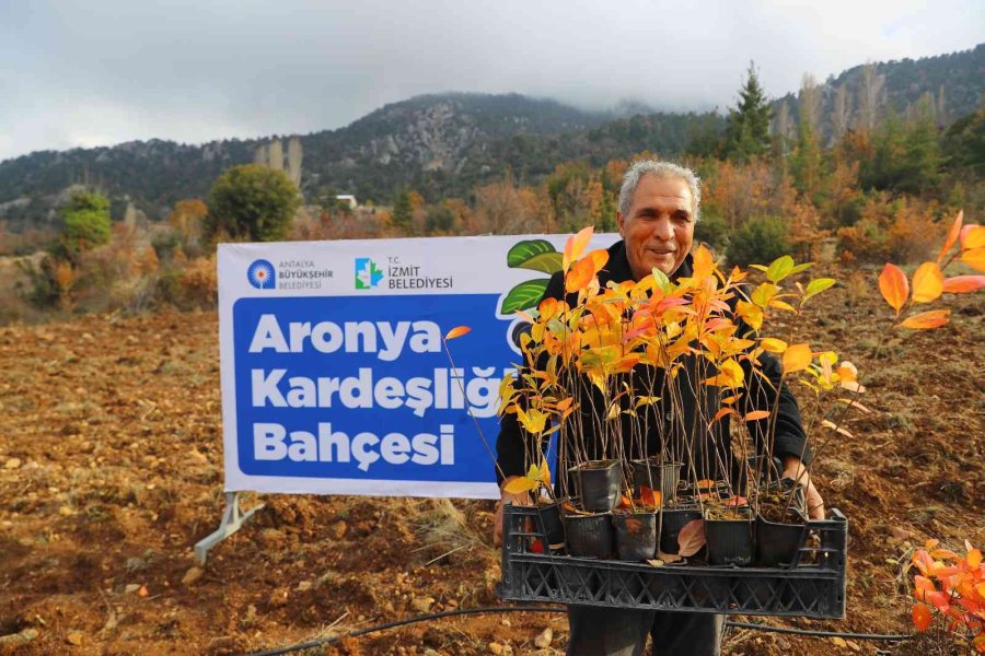 Antalya İle İzmit’in “aronya” Kardeşliği
