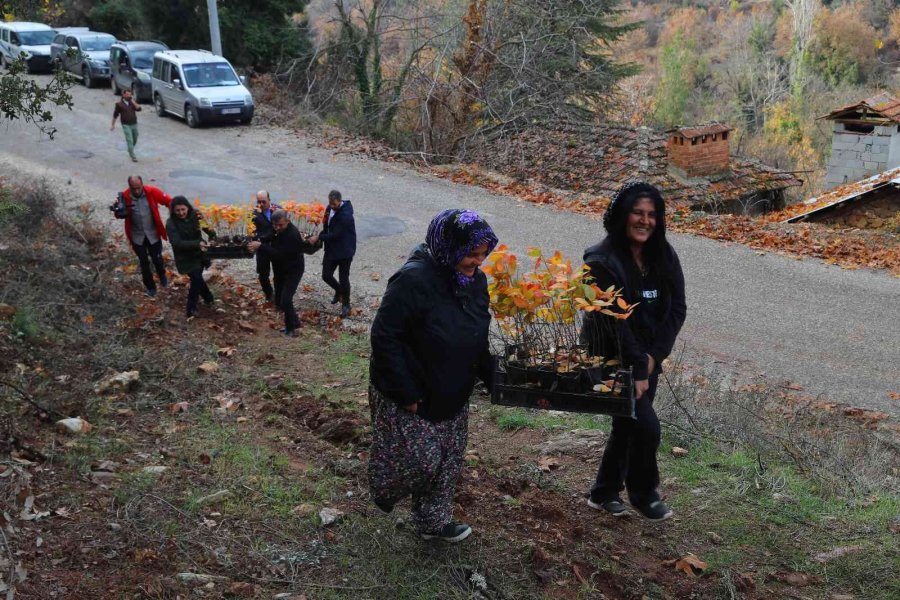 Antalya İle İzmit’in “aronya” Kardeşliği