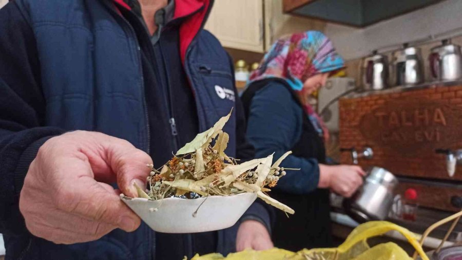 Ihlamurları Köyünden Toplayıp Çay Ocağında Demleyerek Satıyor