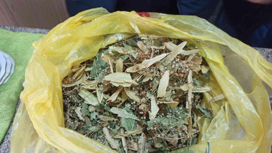 Ihlamurları Köyünden Toplayıp Çay Ocağında Demleyerek Satıyor