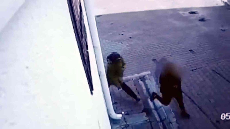 Ev Fareleri Yakalandı