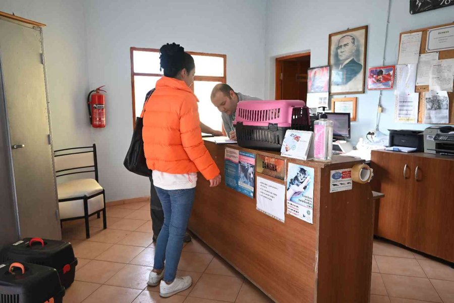 Kemer’de Bin 425 Sokak Hayvanı Kısırlaştırıldı