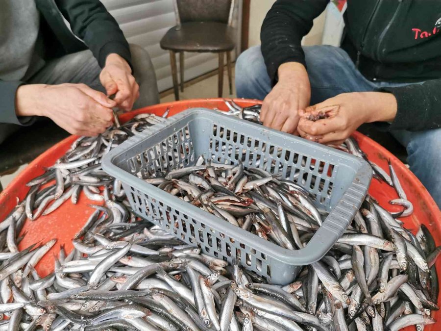 Aksaray’da Evde Balık Temizleme Ve Pişirme Derdine Son