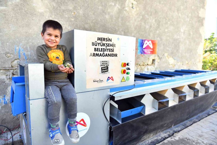 Mersin’de Zeytin Üreticilerine Zeytin Boylama Makinesi Desteği