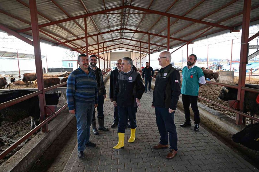 Bu Malak Diğerlerinden Çok Farklı