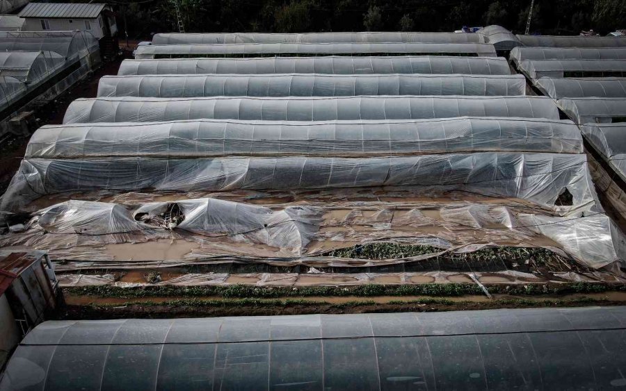 Kumluca’da Çiftçilerin Selden Zarar Gören Ürünlerini Zorlu Kurtarma Mesaisi