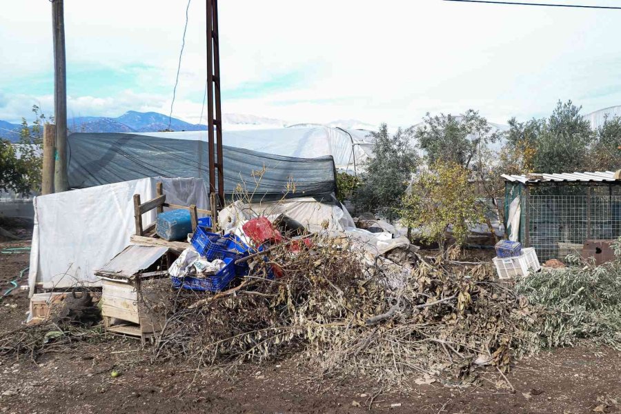 Kumluca’da Çiftçilerin Selden Zarar Gören Ürünlerini Zorlu Kurtarma Mesaisi