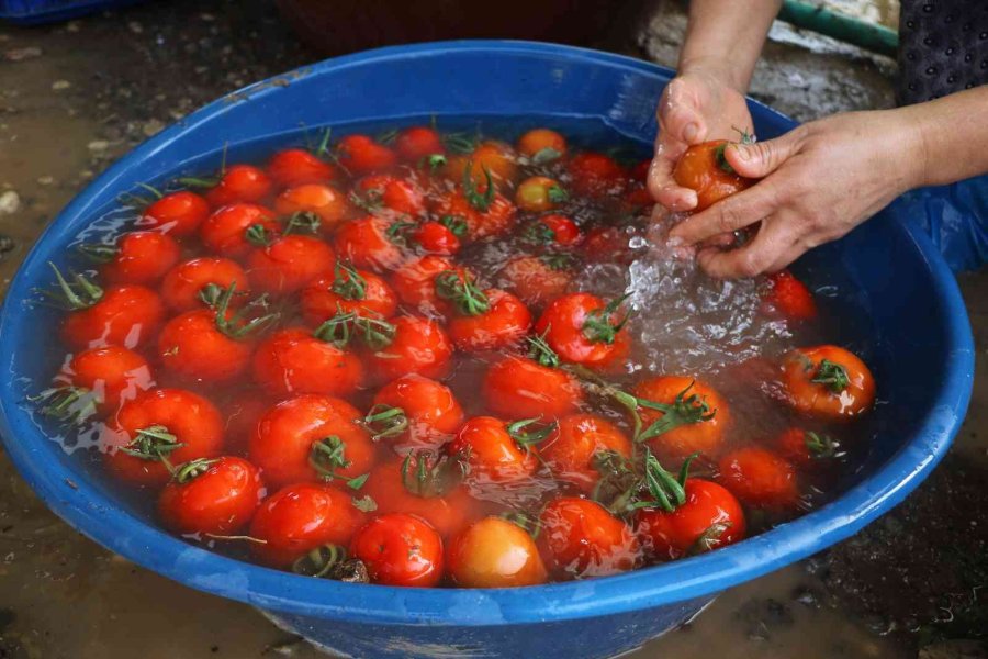 Kumluca’da Çiftçilerin Selden Zarar Gören Ürünlerini Zorlu Kurtarma Mesaisi