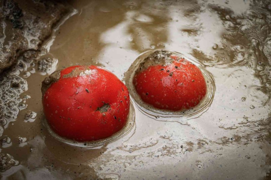 Kumluca’da Çiftçilerin Selden Zarar Gören Ürünlerini Zorlu Kurtarma Mesaisi