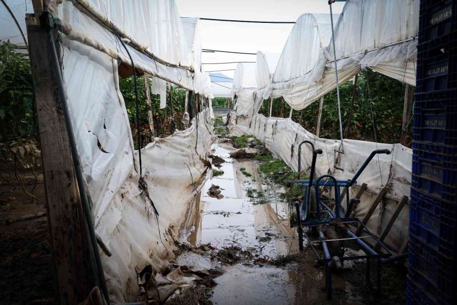 Kumluca’da Çiftçilerin Selden Zarar Gören Ürünlerini Zorlu Kurtarma Mesaisi